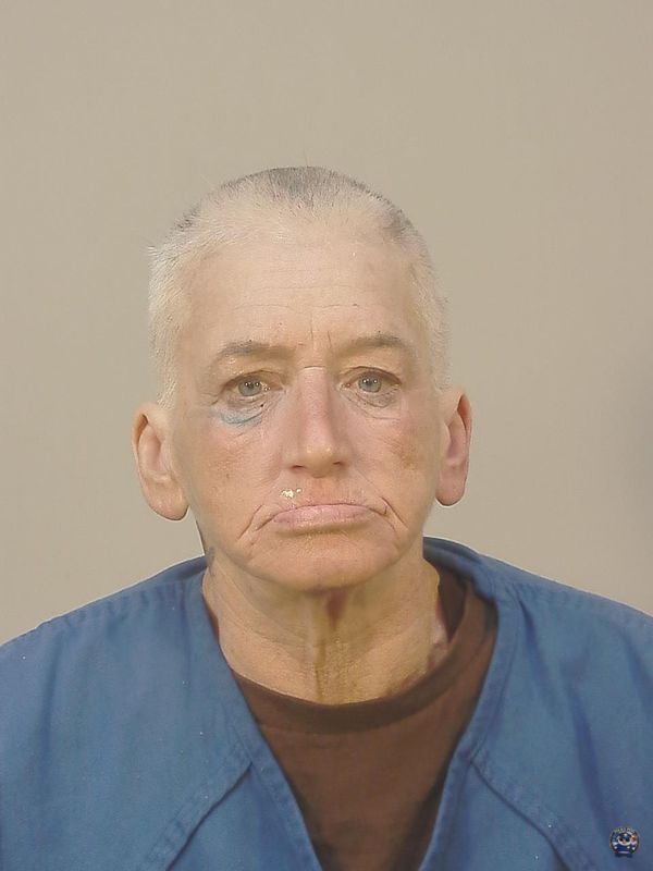 Booking photo of JULIE ANN HURLEY