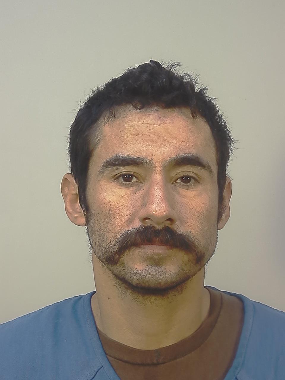 Booking photo - JULIO CESAR ALATORRESANCHEZ - Dane, Wisconsin