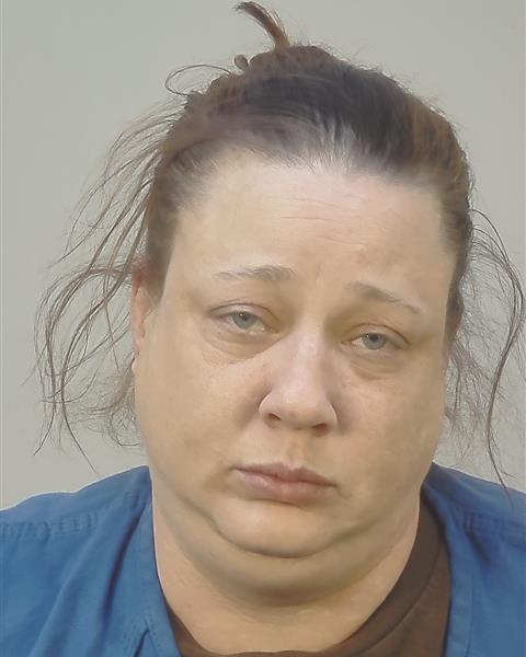 Booking photo - KRISTIN YTTRI KLINGE - Dane, Wisconsin