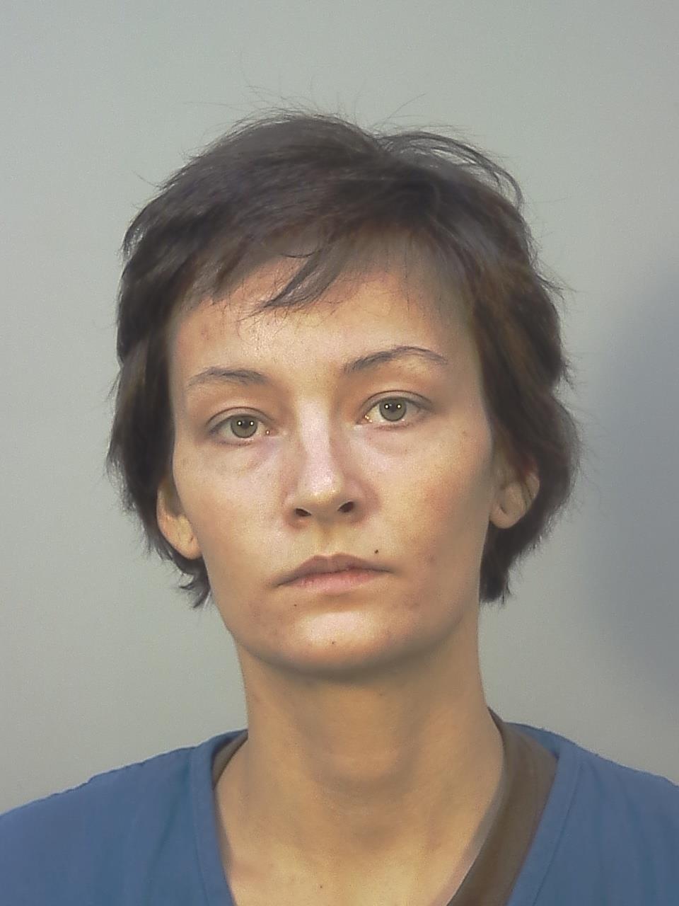 Booking photo - LESLIE ROSE CAMMER - Dane, Wisconsin