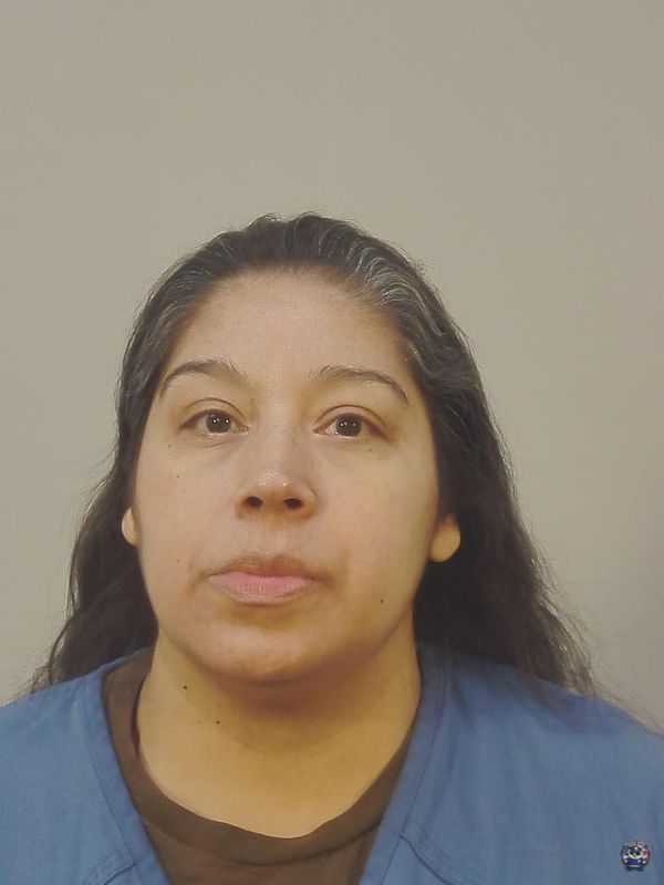 Booking photo of MARIA DEJESUS IBARRA