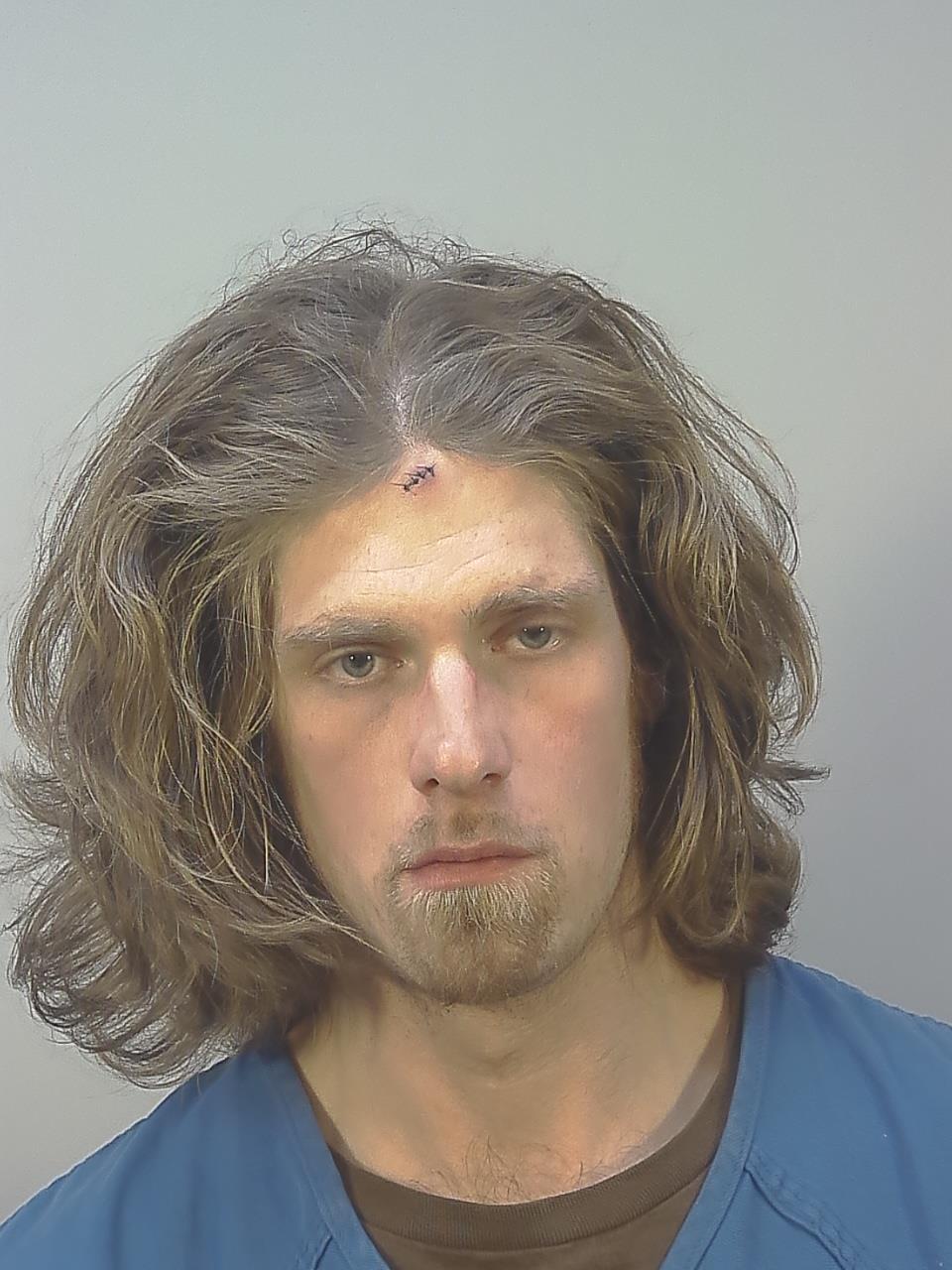 Booking photo - PETER GABRIEL HAMILTON - Dane, Wisconsin