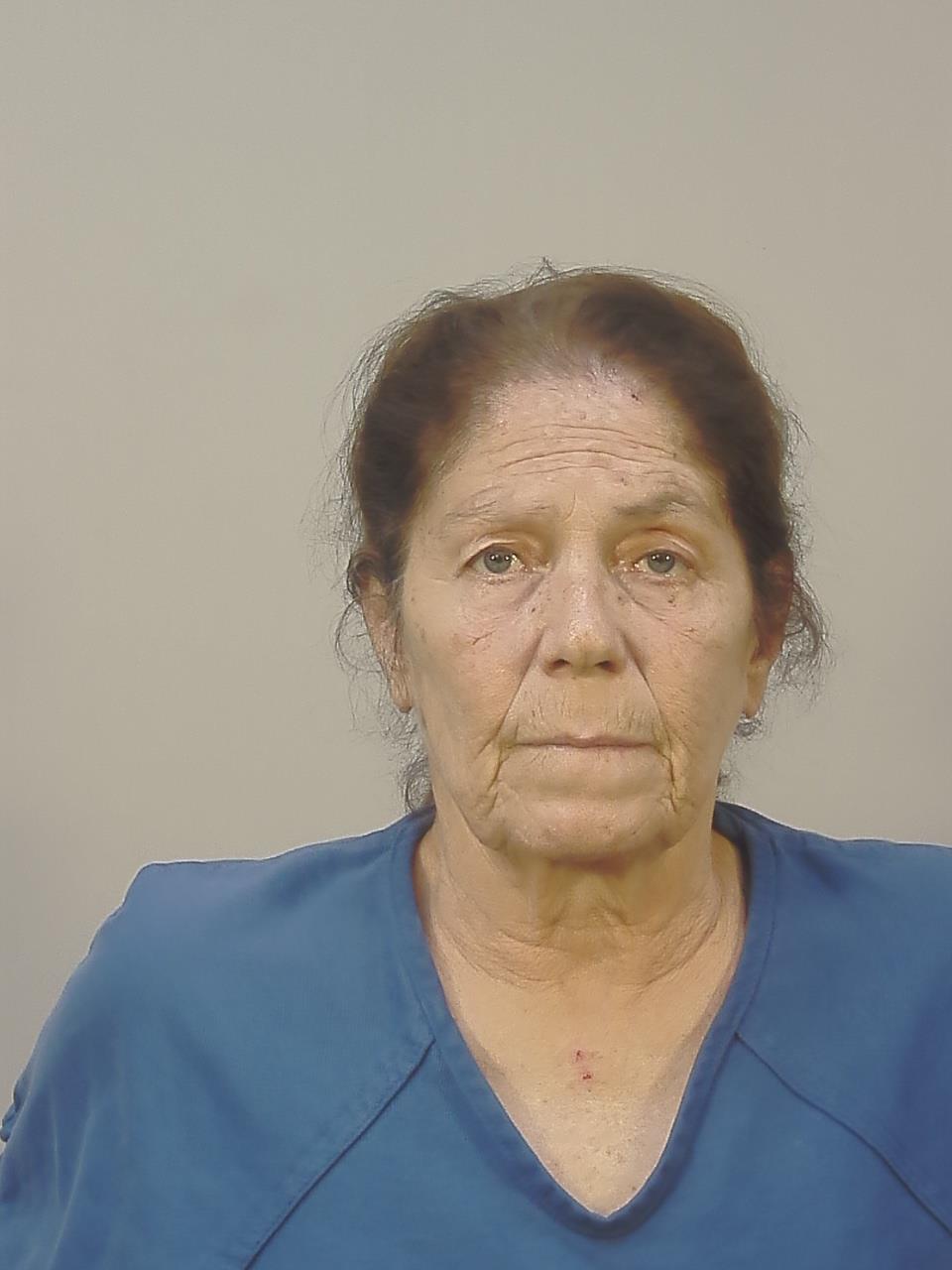 Booking photo of THERESA LYNN HOLIDAY
