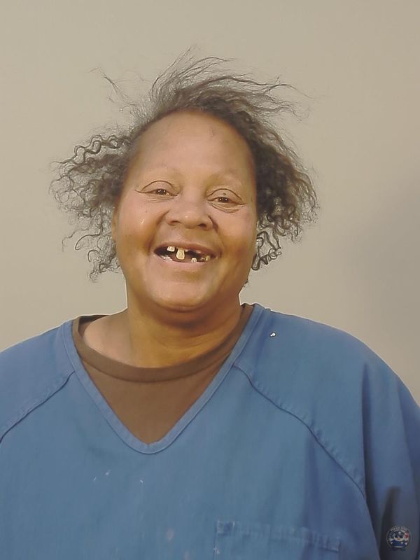 Booking photo of TONIA L LOVE