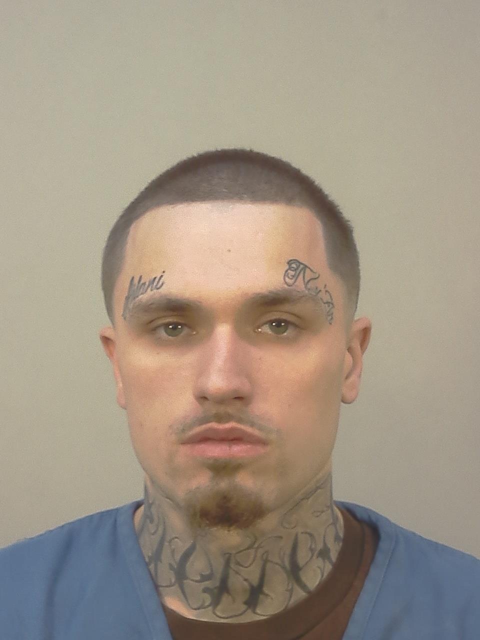 Booking photo - TRENTIN GAUGE HOLSTEN - Dane, Wisconsin