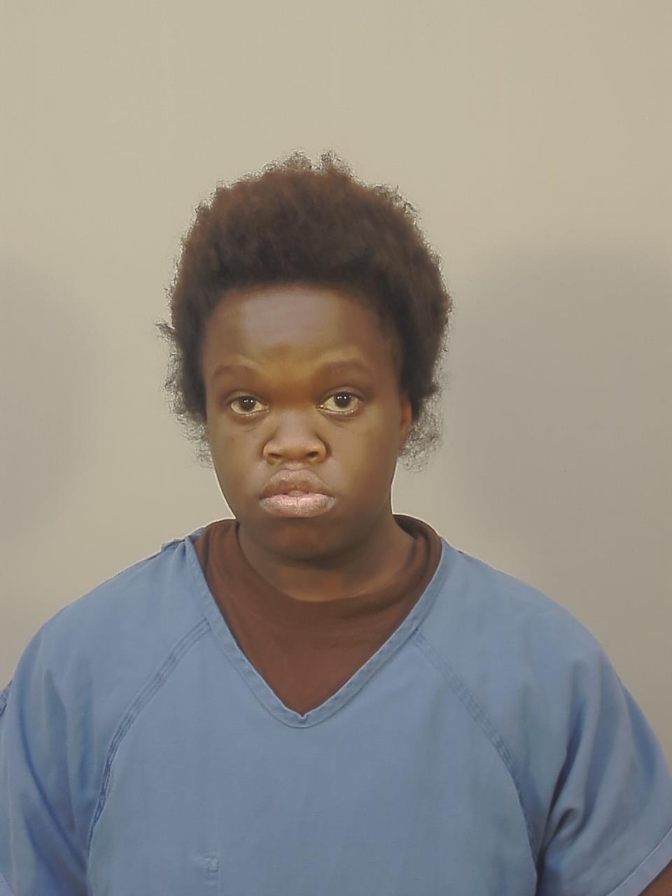 Booking photo - TROYANA LORRIANE BICKHAM - Dane, Wisconsin