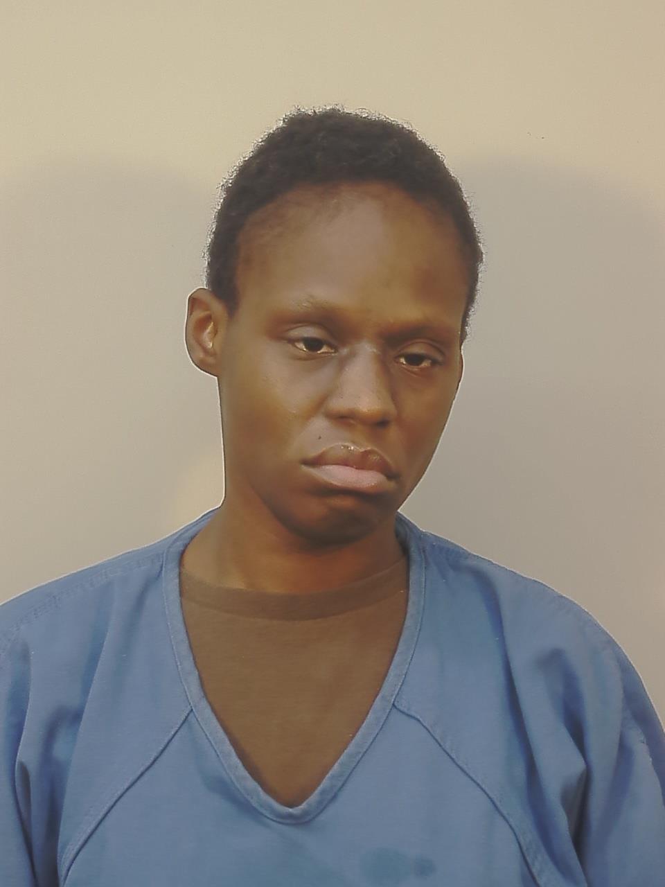 Booking photo of TWANNA NICOLE JOHNSON