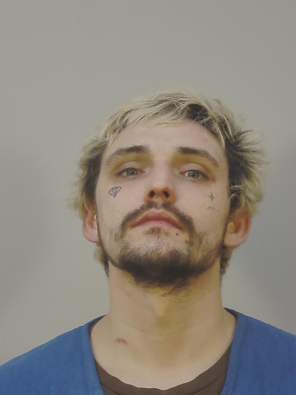 Booking photo of TYLOR LEWIS DISOMMA