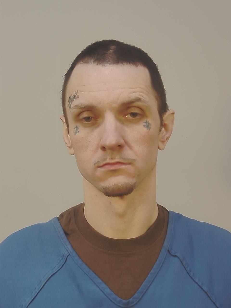 Booking photo - WILLIAM RICHARD GRENDER - Dane, Wisconsin