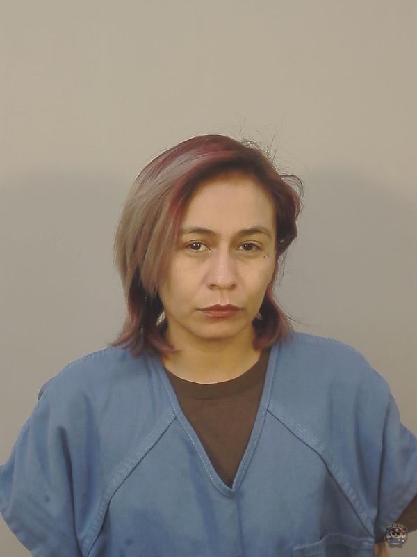 Booking photo of YESICA KARINA DOMINGUEZ