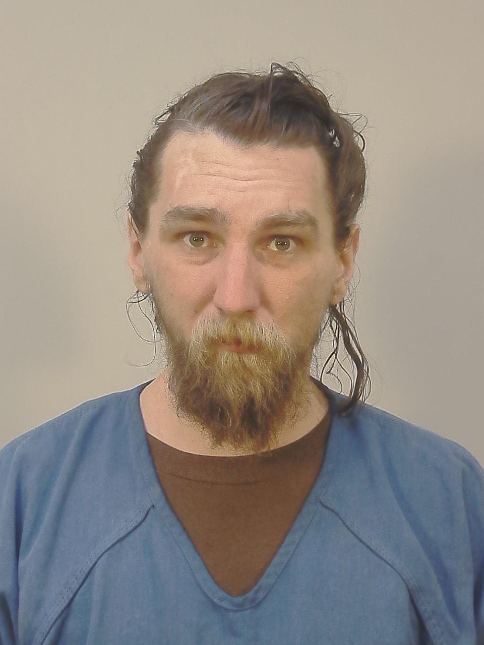 Booking photo - ZACHARY TATE FETZNER - Dane, Wisconsin