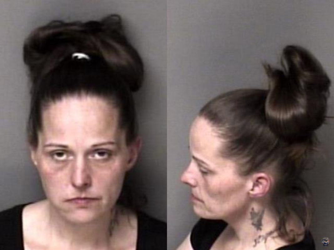 Booking photo of Dockery, Pamela Sue