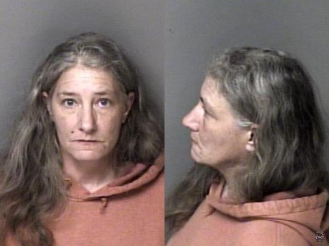 Booking photo of Lunsford, Heather Stowe