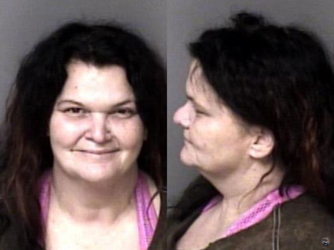 Booking photo of MCCLUNG, CHRISTA ANN