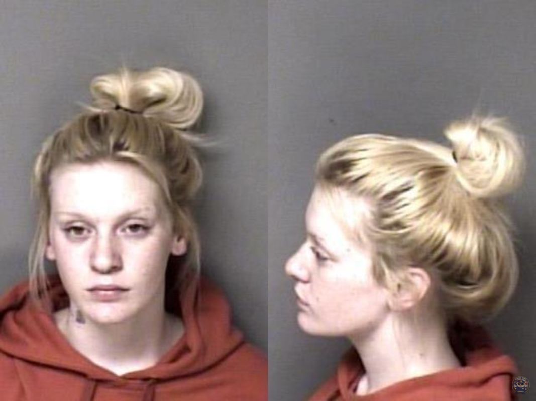 Booking photo of Reynolds, Danielle Summer