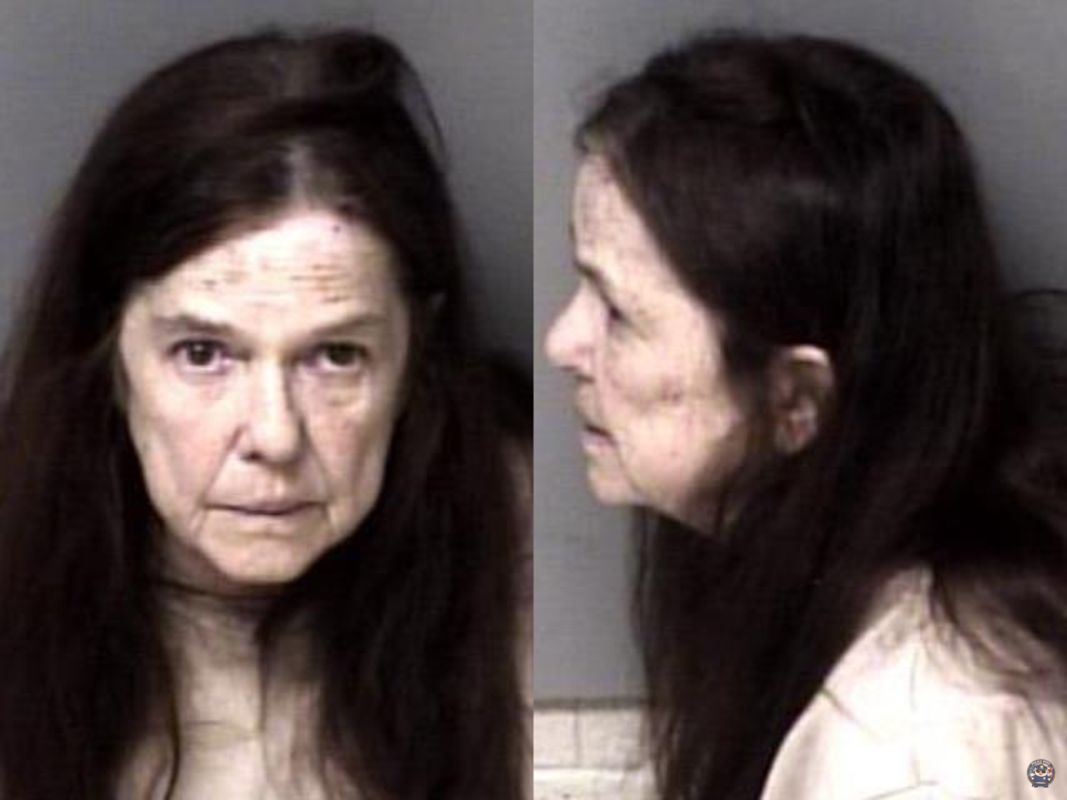 Booking photo of Stillwell, Delores Cogdill