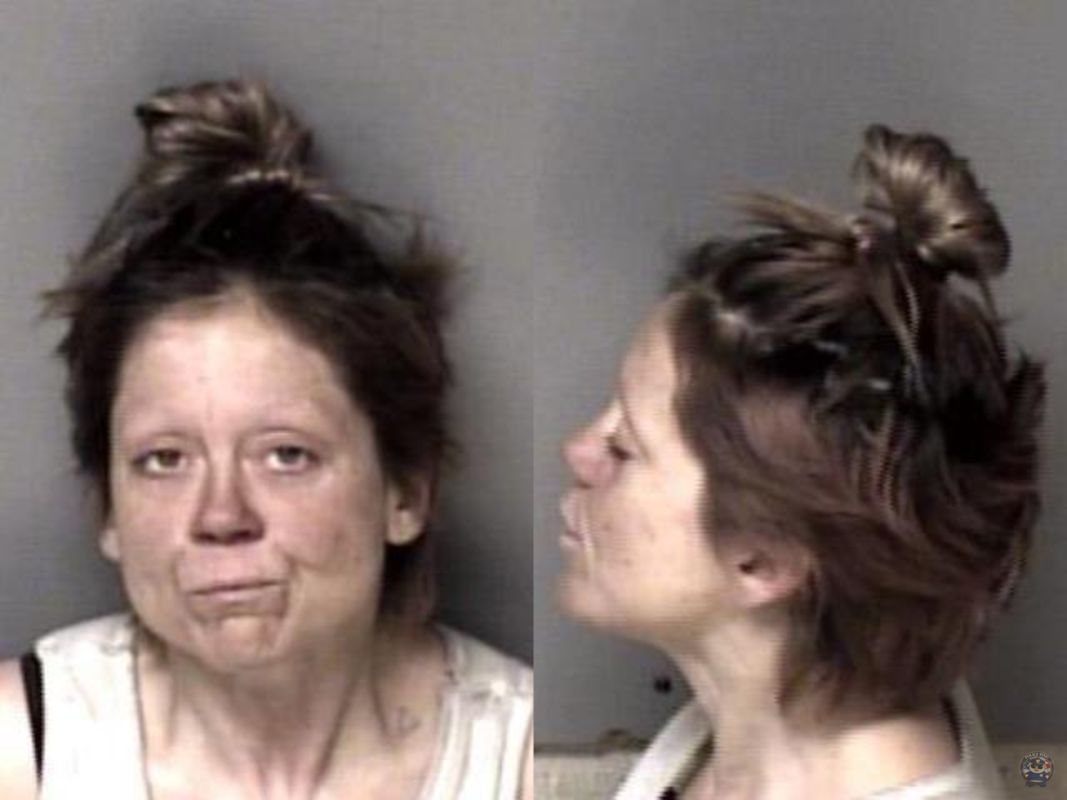 Booking photo of Stroupe, Heather Lauren