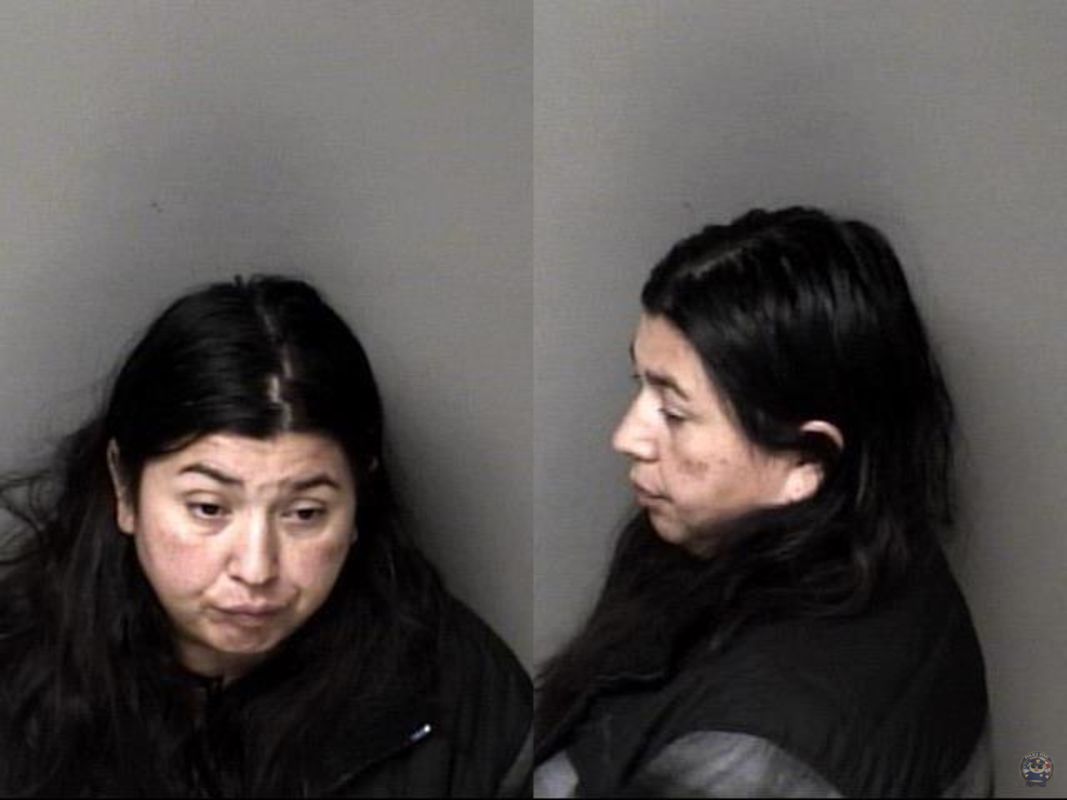 Booking photo of Ventura-Caballero, Blanca Gloria