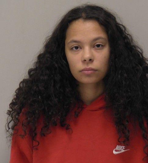 Booking photo - JOY ANN FORNOF - Hancock, Ohio