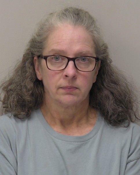 Booking photo - HEIDI ANNIE LAVIN - Hancock, Ohio