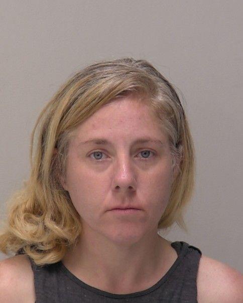 Booking photo - MICHELLE ELIZABETH ORSINO - Hancock, Ohio
