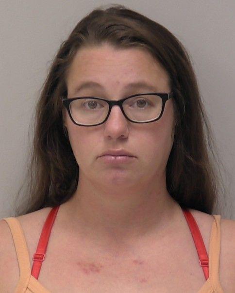 Booking photo - JOY LYNN RISNER - Hancock, Ohio