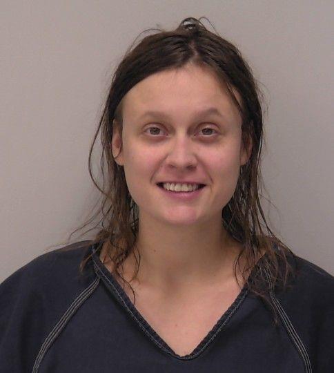 Booking photo - SHYANNE FAYE RISNER - Hancock, Ohio