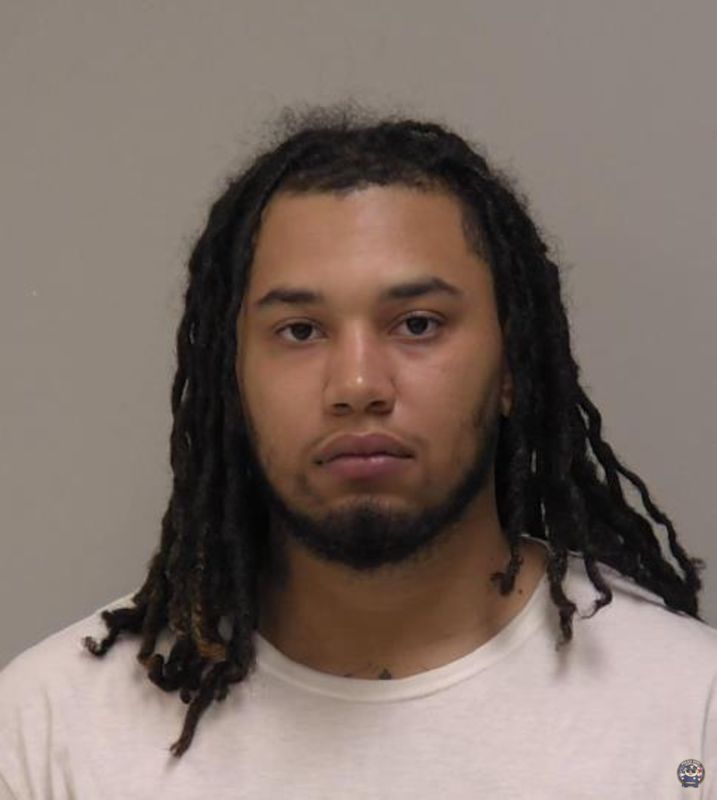 Booking photo of DION LOUIS SPRINGER