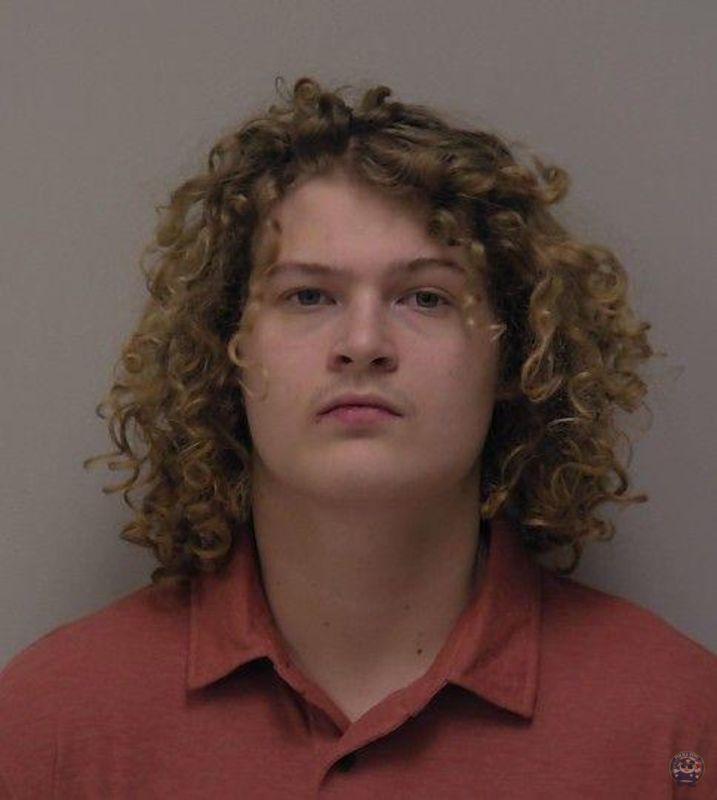 Booking photo of LEVI HUNTER STURGILL