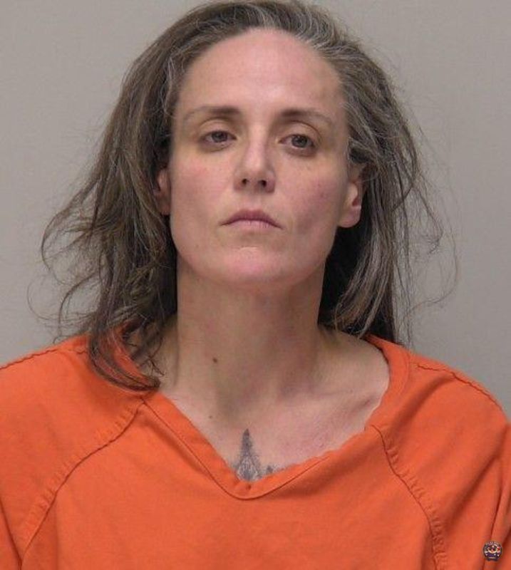 Booking photo of KARI LIN TURNER