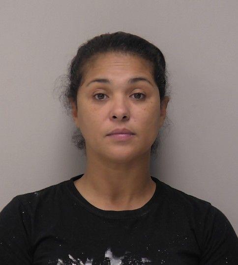 Booking photo - ERIN DENISE VAUGHN - Hancock, Ohio