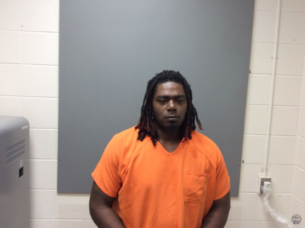 Booking photo of  NORA JR CHESTER