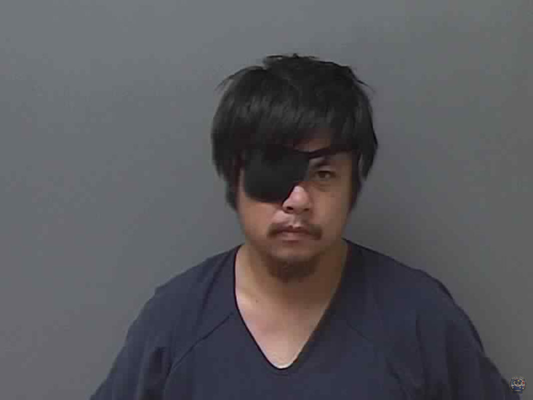 Booking photo -  NGUYEN THANH LINH VU - Iberia, Louisiana