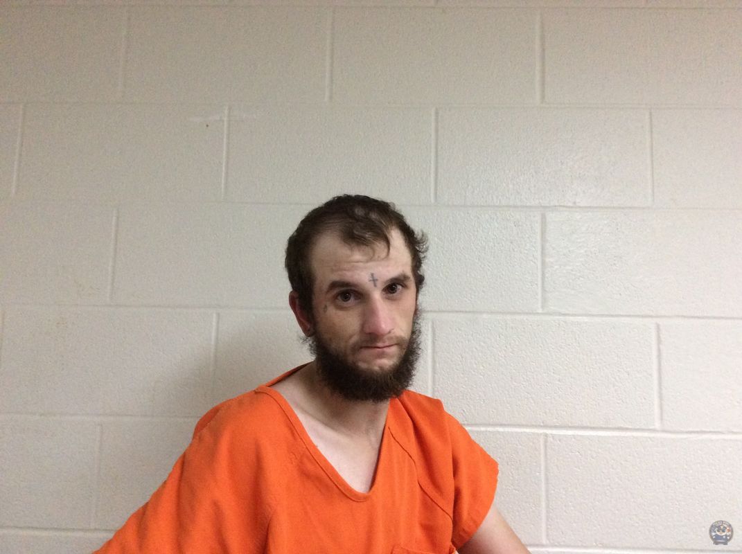 Booking photo of  VIATOR NOAH JAMES