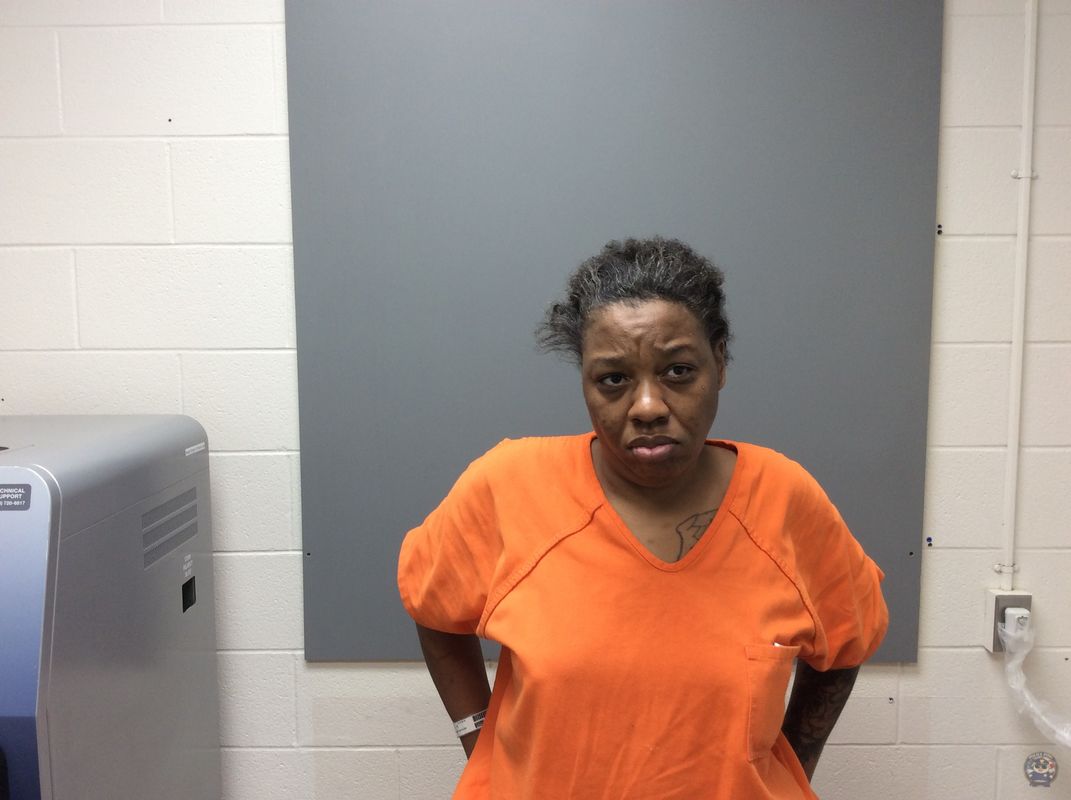 Booking photo of  LIVELY BRITTANY