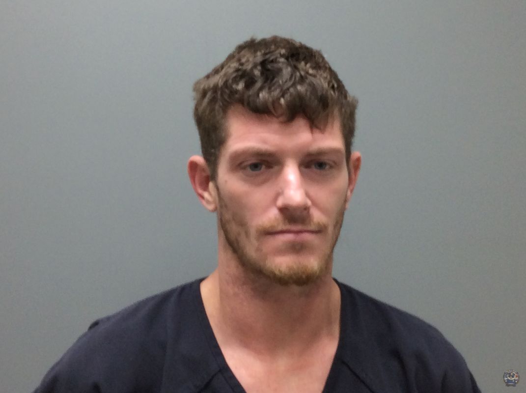 Booking photo of  DELAHOUSSAYE WARD ANTHONY