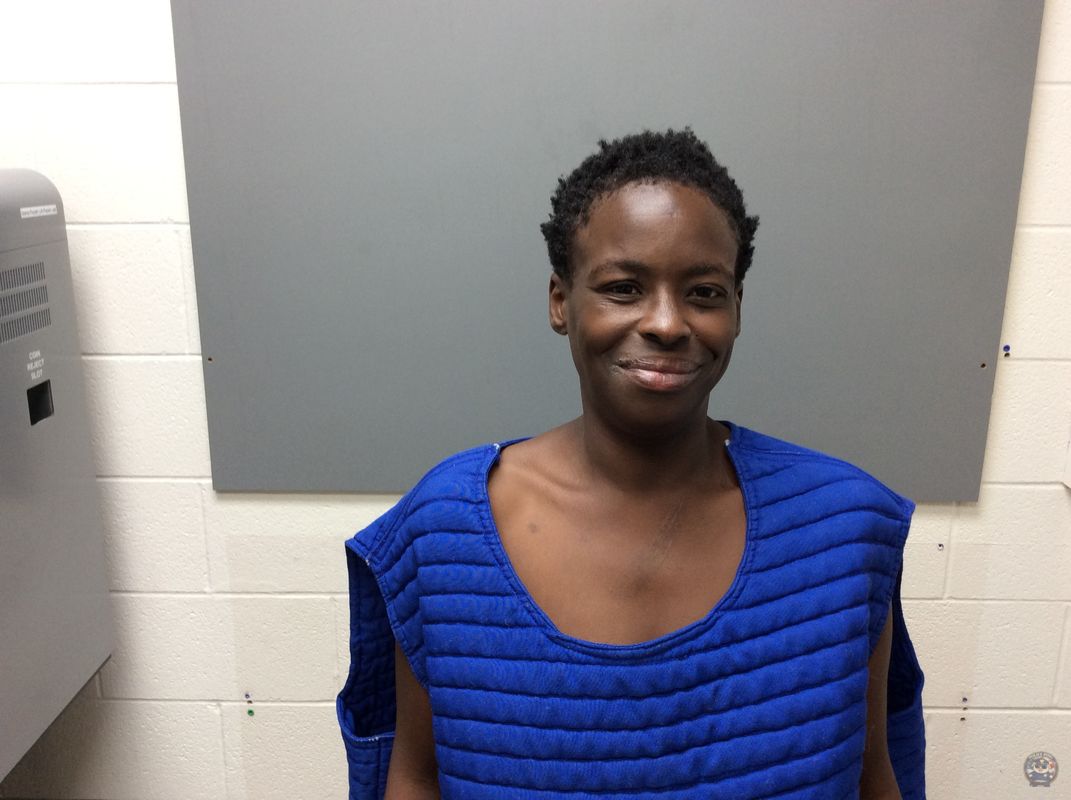 Booking photo of  TURNER SHALISA SHANAY