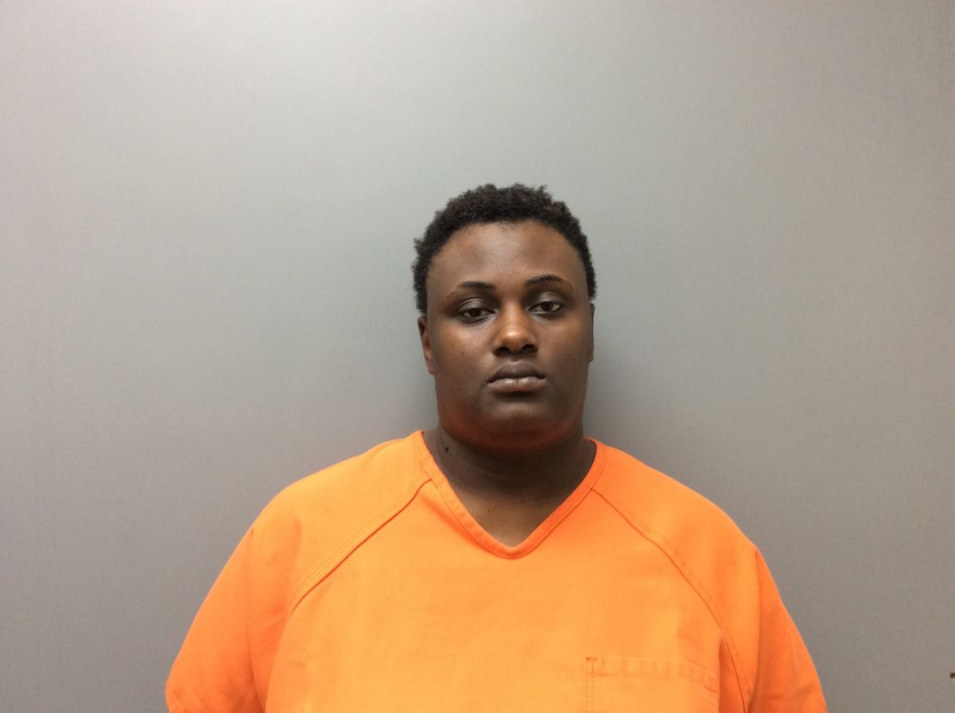 Booking photo of  BROWN LATYDRA LAKIA
