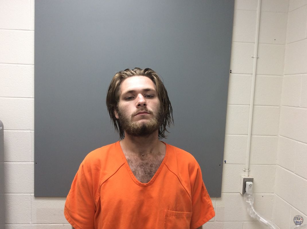 Booking photo of  MAULE LOGAN MATTHEW