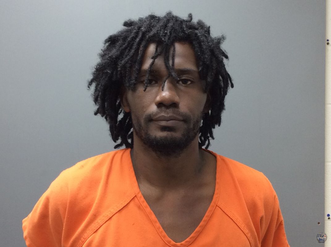 Booking photo of  ALEXANDER JR WALTER PAUL