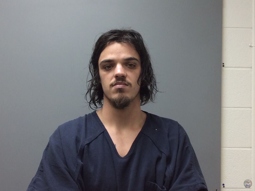 Booking photo of  HENRY JAKE