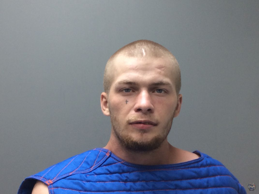 Booking photo of  SANDERS AARON LEE