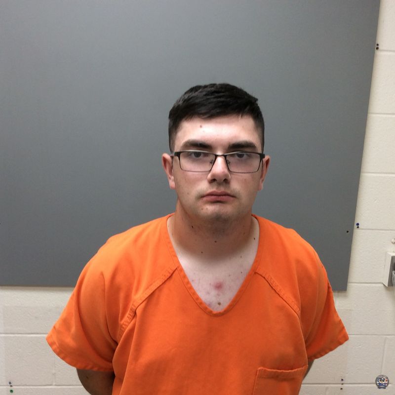 Booking photo of  THOMAS LUXE ARLEN