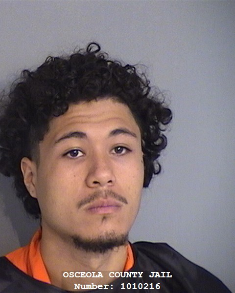 Booking photo - JONEL SANTANA-CASTILLO - Osceola, Florida
