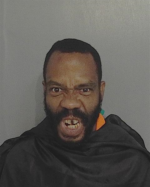 Booking photo - RICARDO LEON WILLIAMS - Osceola, Florida