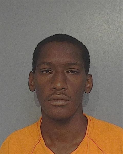 Booking photo - AMARI OSHAE HAZLEY - Osceola, Florida