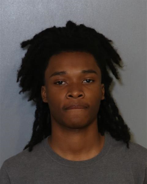 Booking photo - YAHOSHUA EMMANUEL VILLARREAL - Osceola, Florida