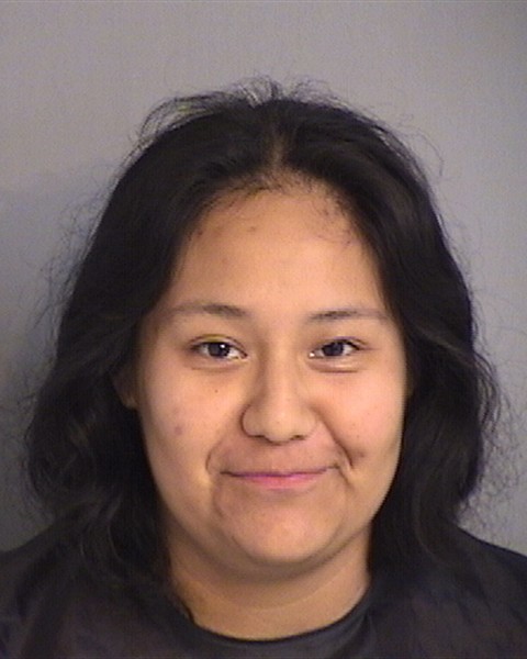 Booking photo - ALICIA HERNANDEZ-GONZALEZ - Osceola, Florida