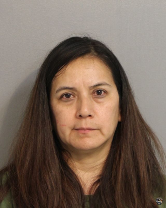 Booking photo of LIZBHET PANTOJA