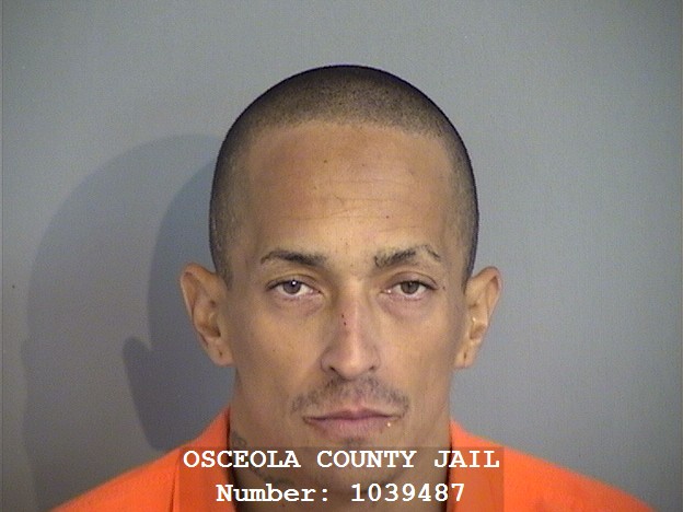 Booking photo of ALCIDES PEREZ-IRIZARRY